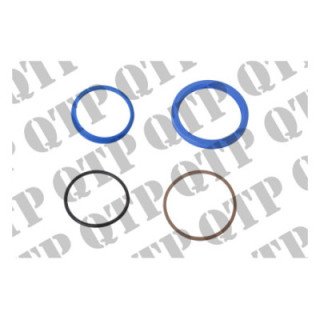 Power Steering Cylinder Seal Kit 4WD CVX1170 - CVX1190 CVX170 - CVX190 McCormick MTX155 - MTX200