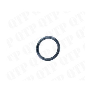 Injector seal Fendt