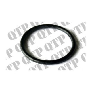 O-Ring _580282