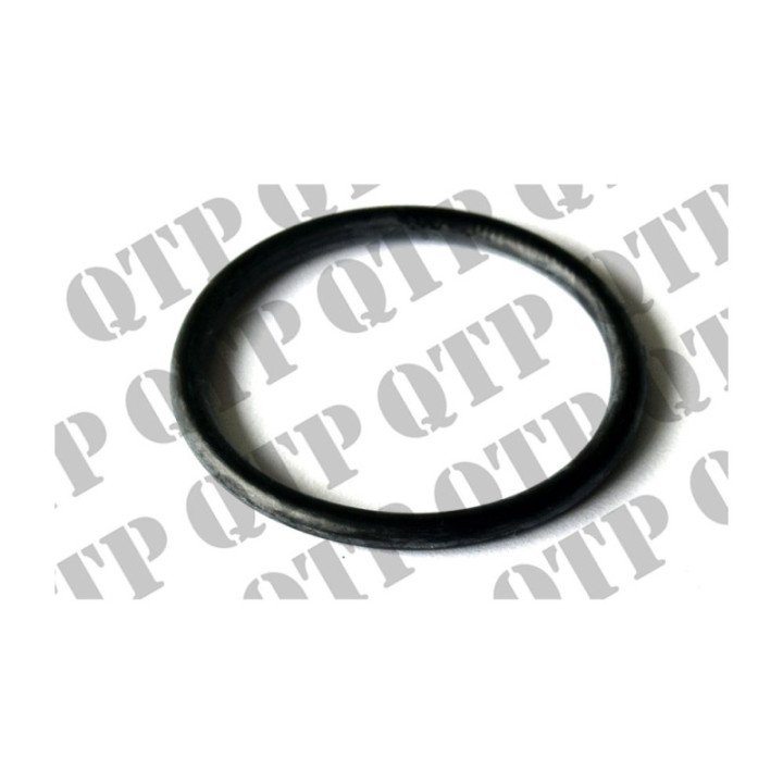 O-Ring _580282