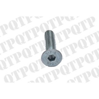 Bolt Rear Window Massey Ferguson 3009432X1